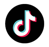 tiktok Icon