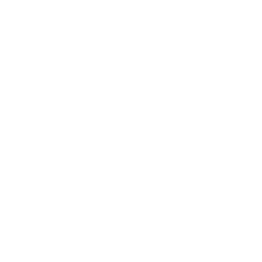 LinkedIn Icon