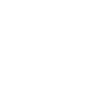X Icon