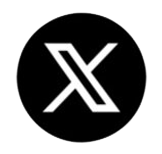 X Icon